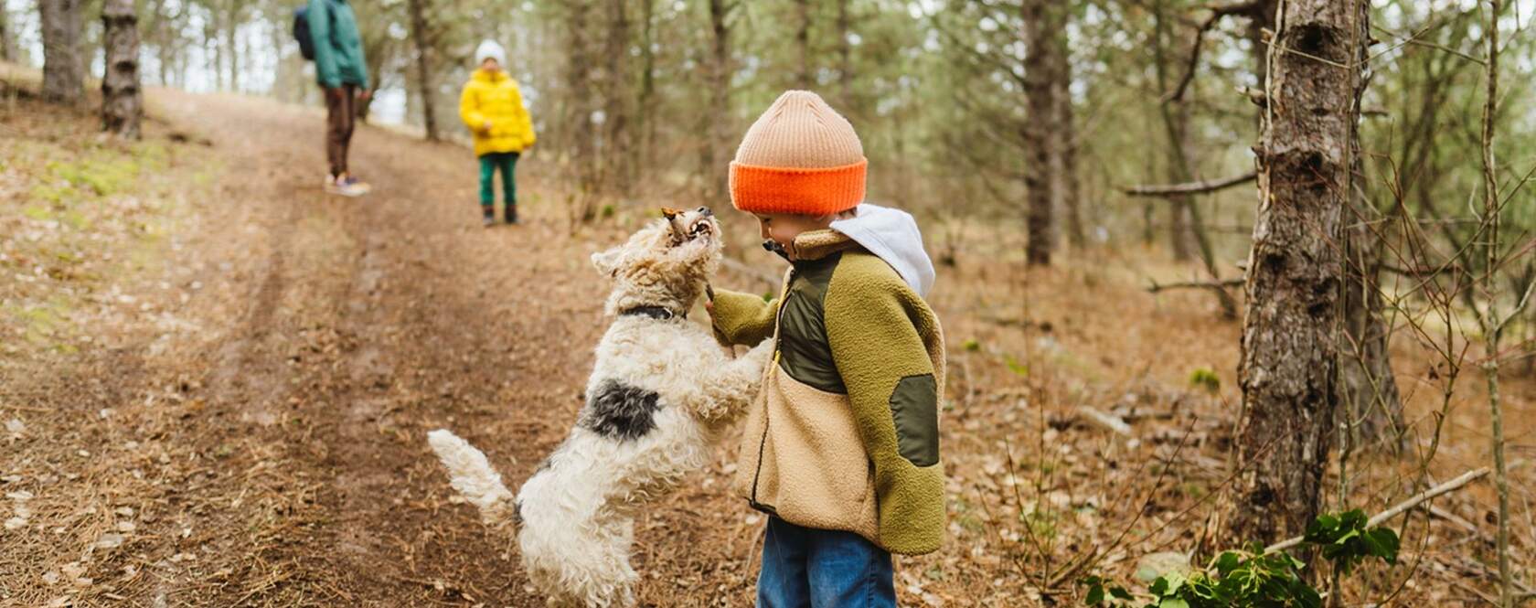 Zin in een mooie herfstwandeling? 7 routes vol herfstgeuren en -kleuren header image