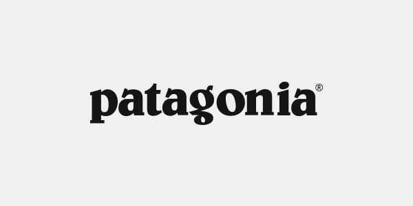 patagonia dames sale