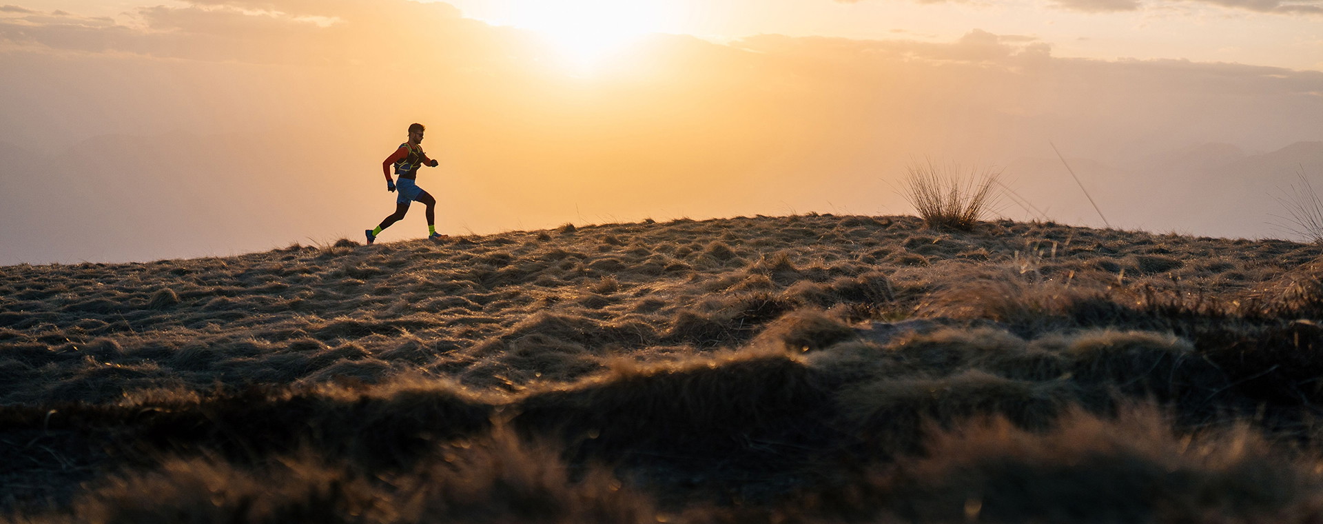 Hardloopschema's: stap voor stap hardlopen opbouwen