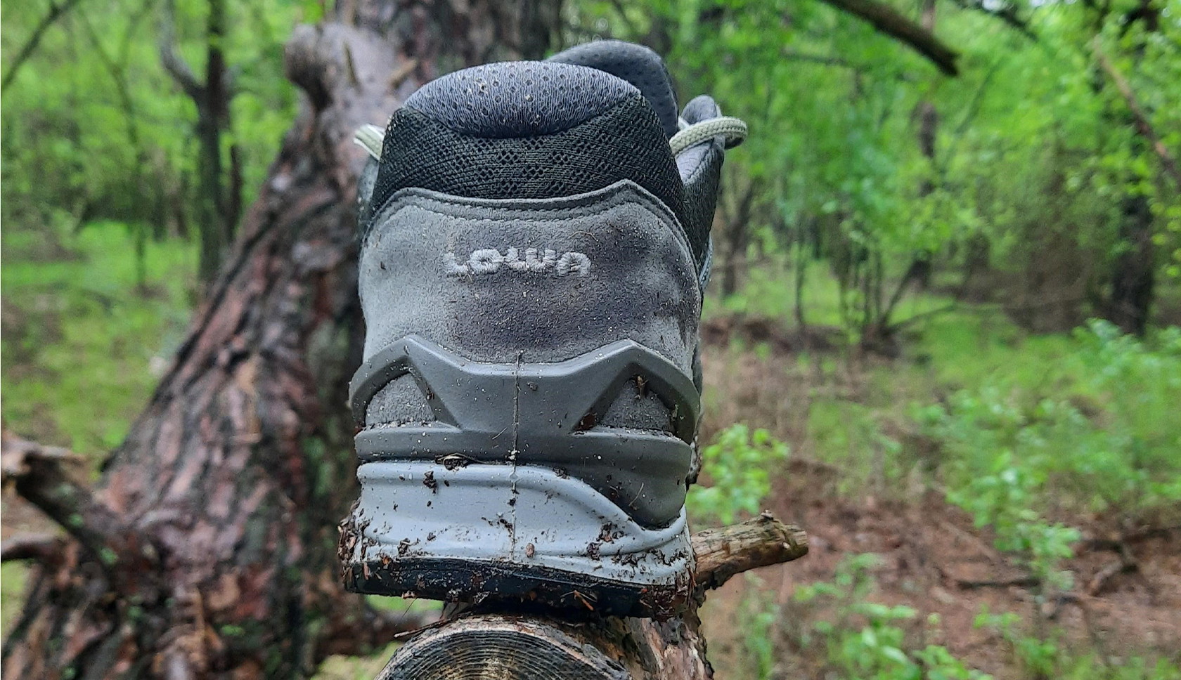 Achterkant LOWA schoen in de natuur