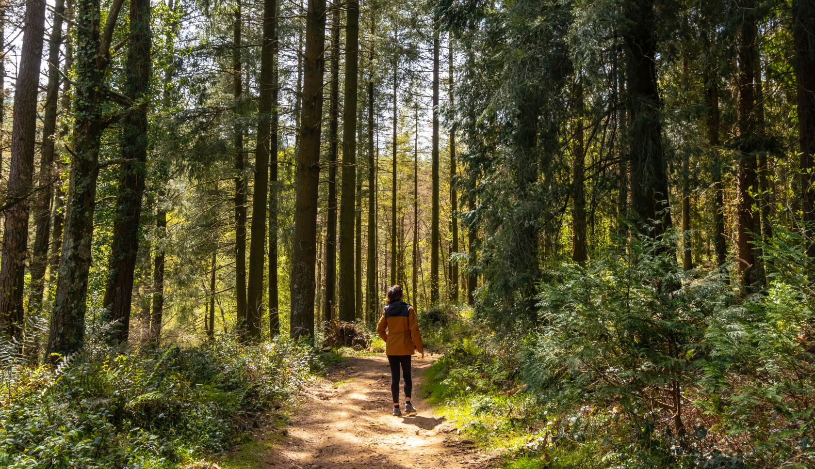 vrouw wandelt door het bos