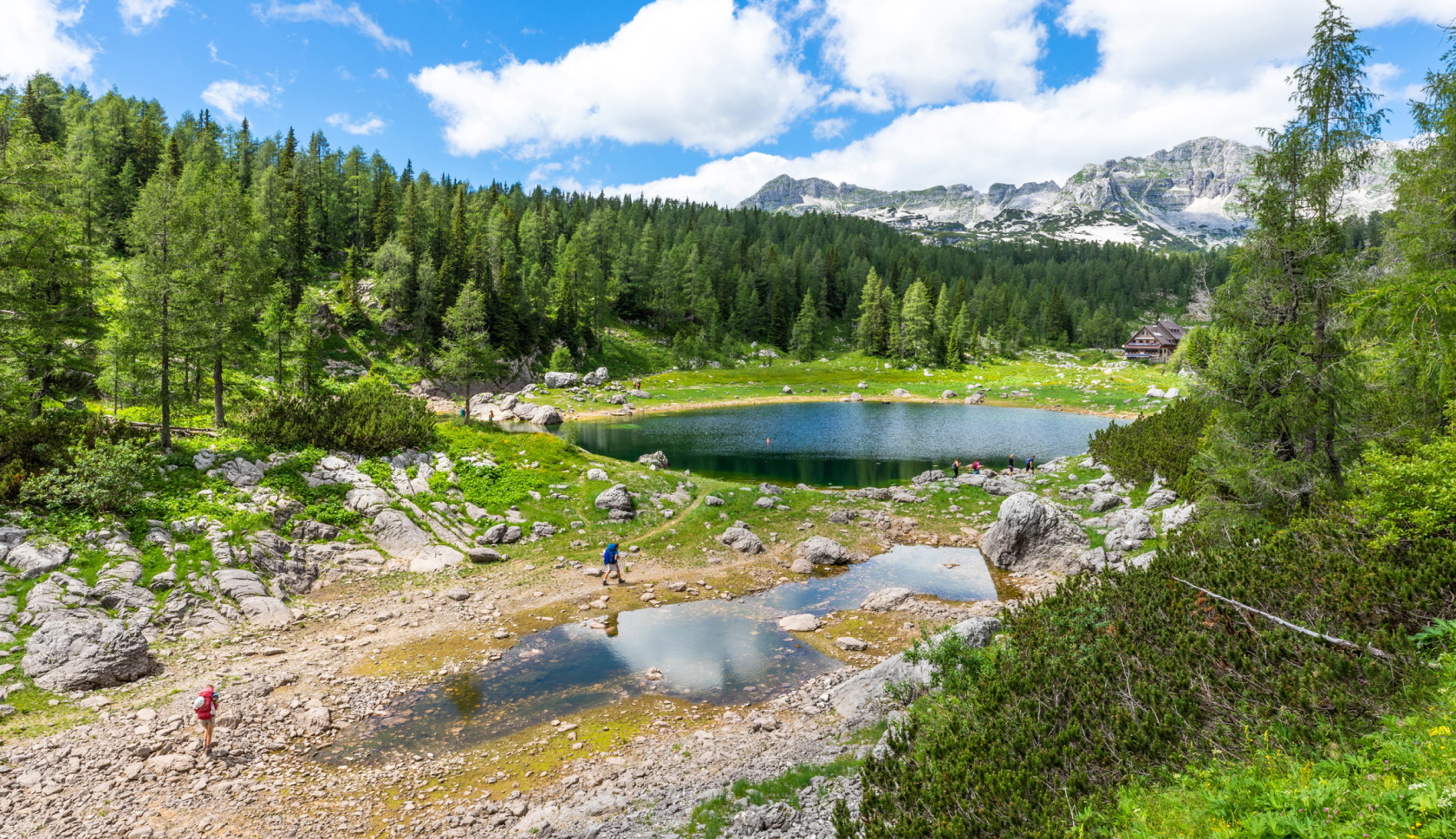 Een helder bergmeer, omgeven door groen in Triglav Nationaal Park in Slovenië