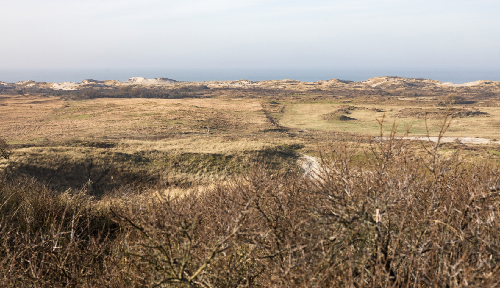 Een mooie herfstwandeling: Boswachterspad Meeuwenduinen loopt door Boswachterij Westerschouwen