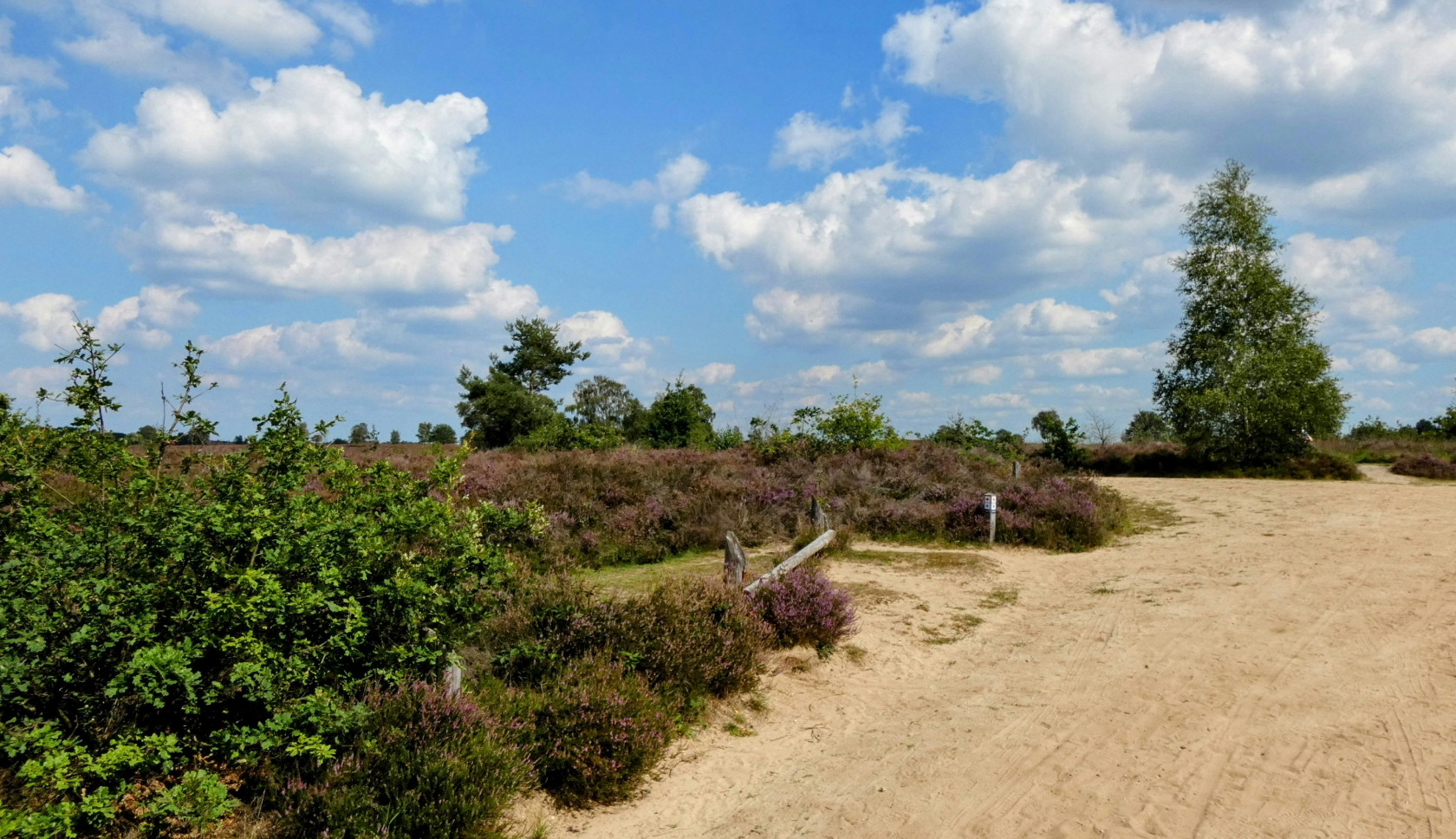 Een zandpad loopt dwars over de heide