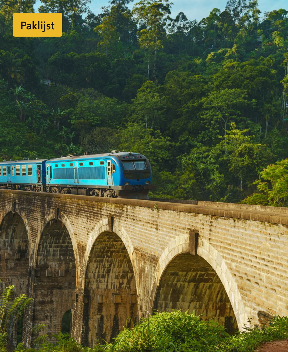 trein rijdt over brug in de jungle