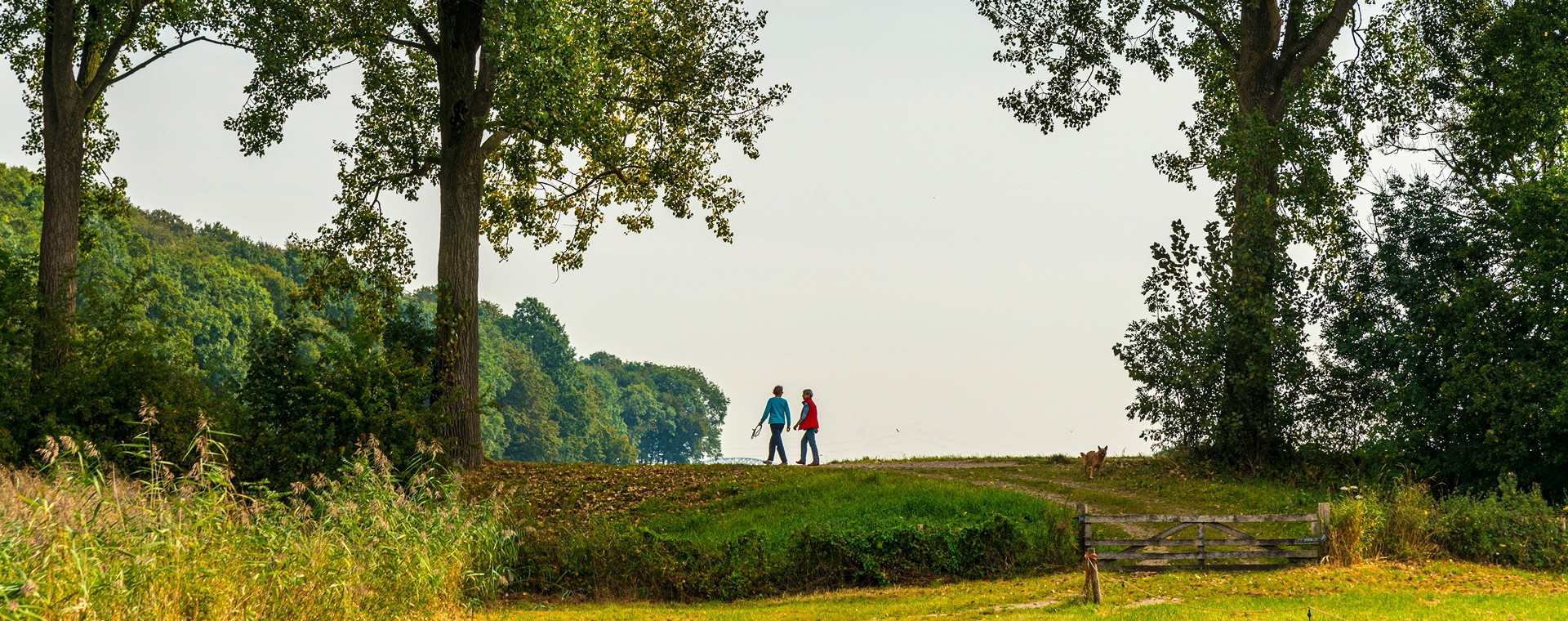Ontdek 5 mooie langeafstands-wandelingen in Nederland